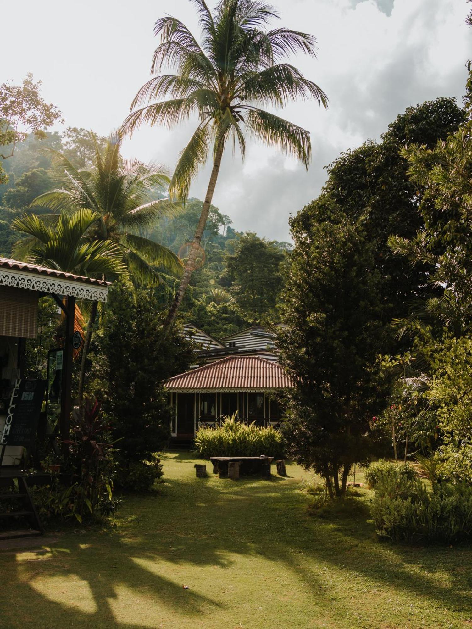 Villa 1511 Coconut Grove Kampong Juara Esterno foto
